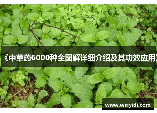 《中草药6000种全图解详细介绍及其功效应用》