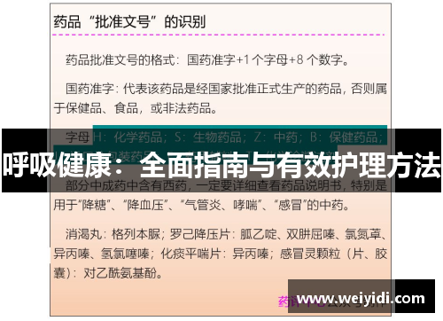 呼吸健康：全面指南与有效护理方法