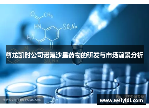 尊龙凯时公司诺氟沙星药物的研发与市场前景分析
