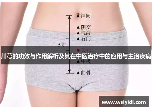 川芎的功效与作用解析及其在中医治疗中的应用与主治疾病
