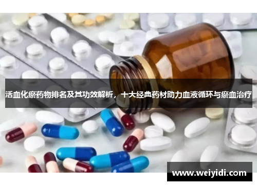 活血化瘀药物排名及其功效解析，十大经典药材助力血液循环与瘀血治疗